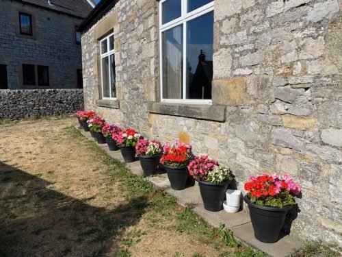 Outside planters
